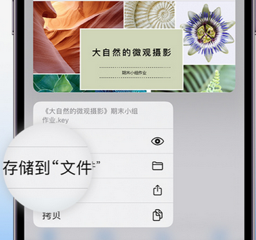 淳化apple维修中心分享iPhone文件应用中存储和找到下载文件