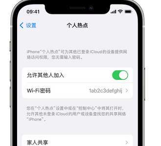 淳化apple服务站点分享iPhone上个人热点丢失了怎么办 