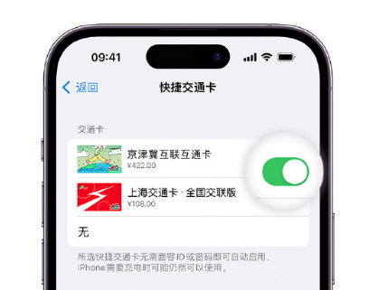 淳化apple维修点分享iPhone上更换Apple Pay快捷交通卡手绘卡面 