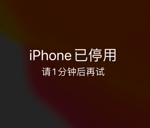 淳化苹果手机维修分享:iPhone 显示“不可用”或“已停用”怎么办？还能保留数据吗？ 