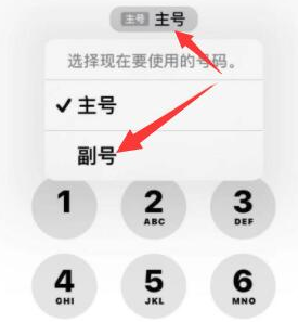 淳化苹果14维修店分享iPhone 14 Pro Max使用副卡打电话的方法 