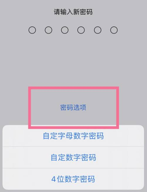 淳化苹果14维修分享iPhone 14plus设置密码的方法 