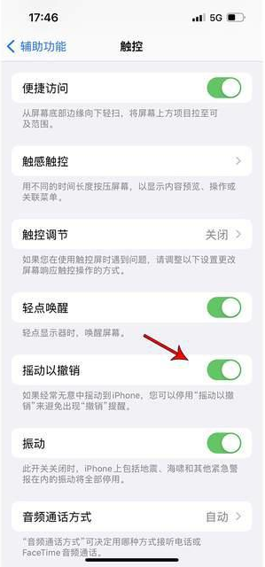 淳化苹果手机维修分享iPhone手机如何设置摇一摇删除文字 