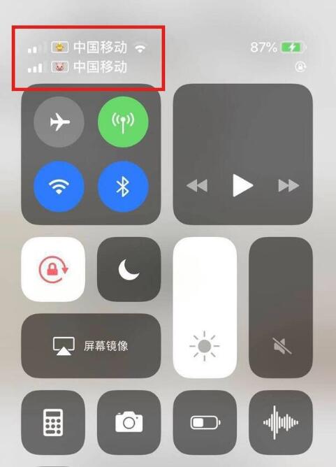 淳化苹果手机维修分享为 iPhone 12 双卡设置标签 