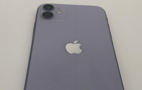 淳化苹果11系统维修分享iPhone11手机系统崩溃无法开机如何解决 